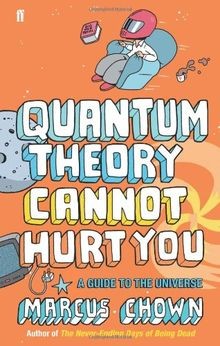 Quantum Theory Cannot Hurt You: A Guide to the Universe ... | Buch | Zustand gut