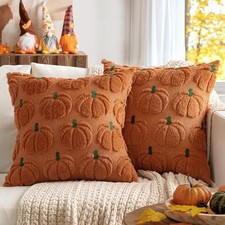 Fall Pumpkin Pillow Covers Fall 24" x 24" Pack of 2 Dark Rust Green Stem