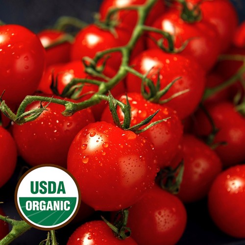 25 Organic Riesentraube Heirloom Tomato Seeds - Everwilde Farms Mylar Packet - Picture 3 of 3