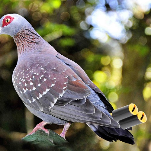 2Pcs Whistle Pigeon Flute Survival Whistle Football Whistle Pet Bird Flute - 第 5/12 張圖片