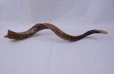 Yemenite Kudu Horn SHOFAR 20''-22'' New Kosher Made in Jerusalem  Free Shipping  