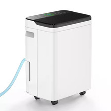 50 Pt. 4,500 Sq.Ft. Dehumidifier for Basement with Drain Hose, Bucket in White,
