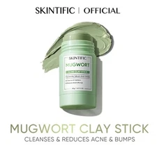 SKINTIFIC Mugwort Acne Clay Stick Niacinamide Salicylic Acid Treating Redness X1
