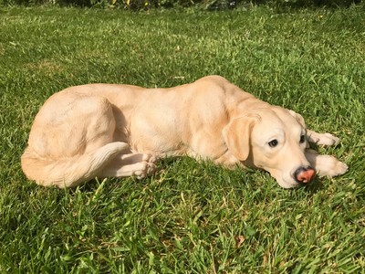 Großer goldener Labrador Retriever realistische Hundedekoration Haus Garten Terrasse Ornamente
