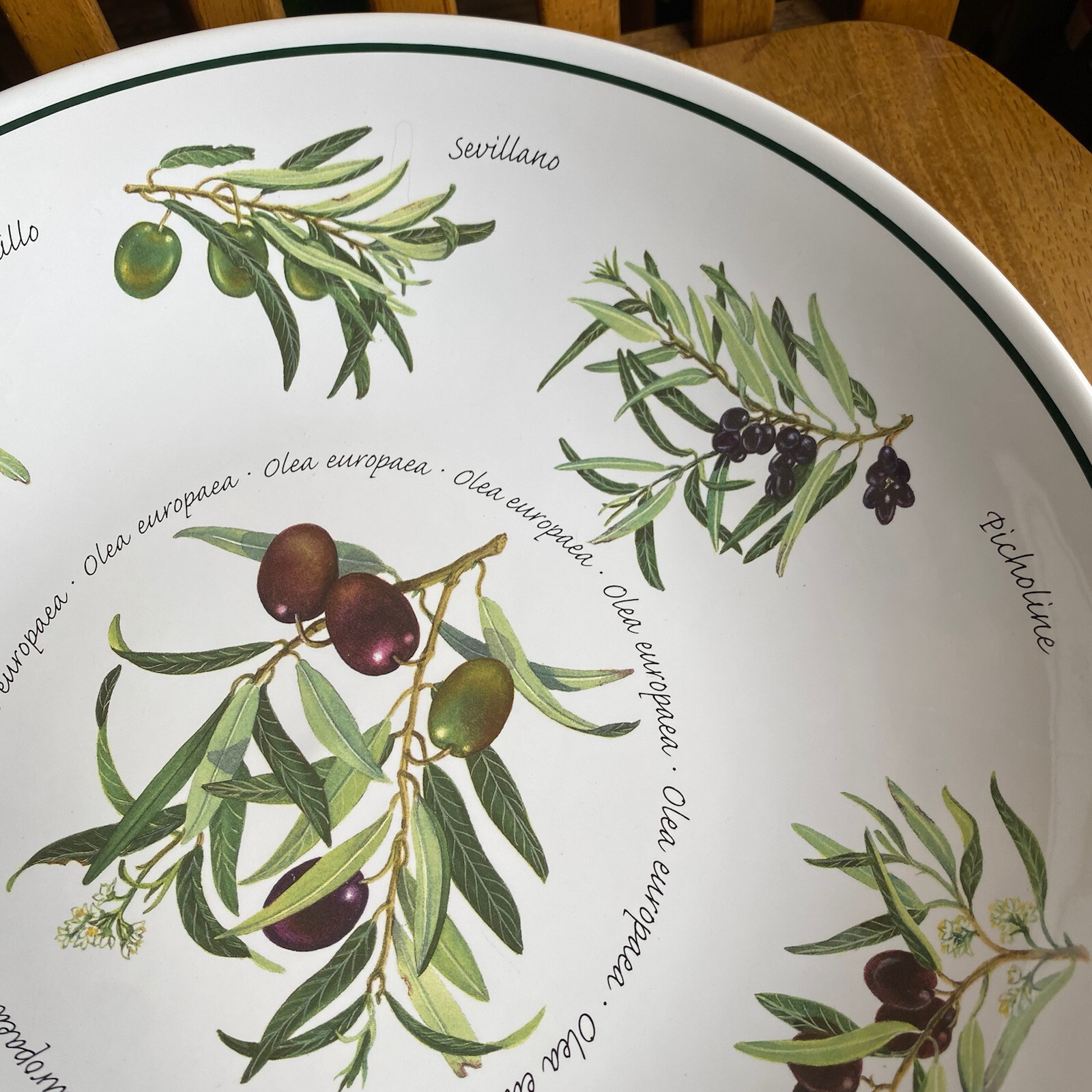 Olea Europaea WilliamsSonoma 13" LARGE Pasta Serving Bowl Kalamata