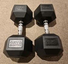 Everlast 25kg Dumbbell Pair