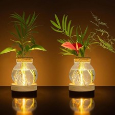 Plant Propagation Station with Wooden Saucer, Glass Terrarium with 2 packs