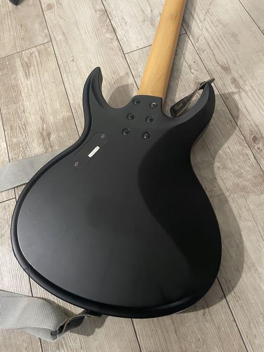 Schecter Diamond Series Danien Devil | eBay 