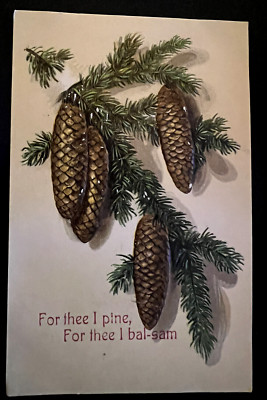 ''For Thee I Pine~For Thee I Bal-Sam''  Greeting Pine Cones Postcard ~Unused~d531