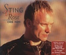 Desert Rose [CD 1] [CD 1] von Sting | CD | Zustand sehr gut