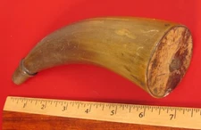 ANTIQUE BLACK POWDER HORN FOR MUZZLE LOADER RIFLE GUNPOWDER AMMO HUNTING MUSKET