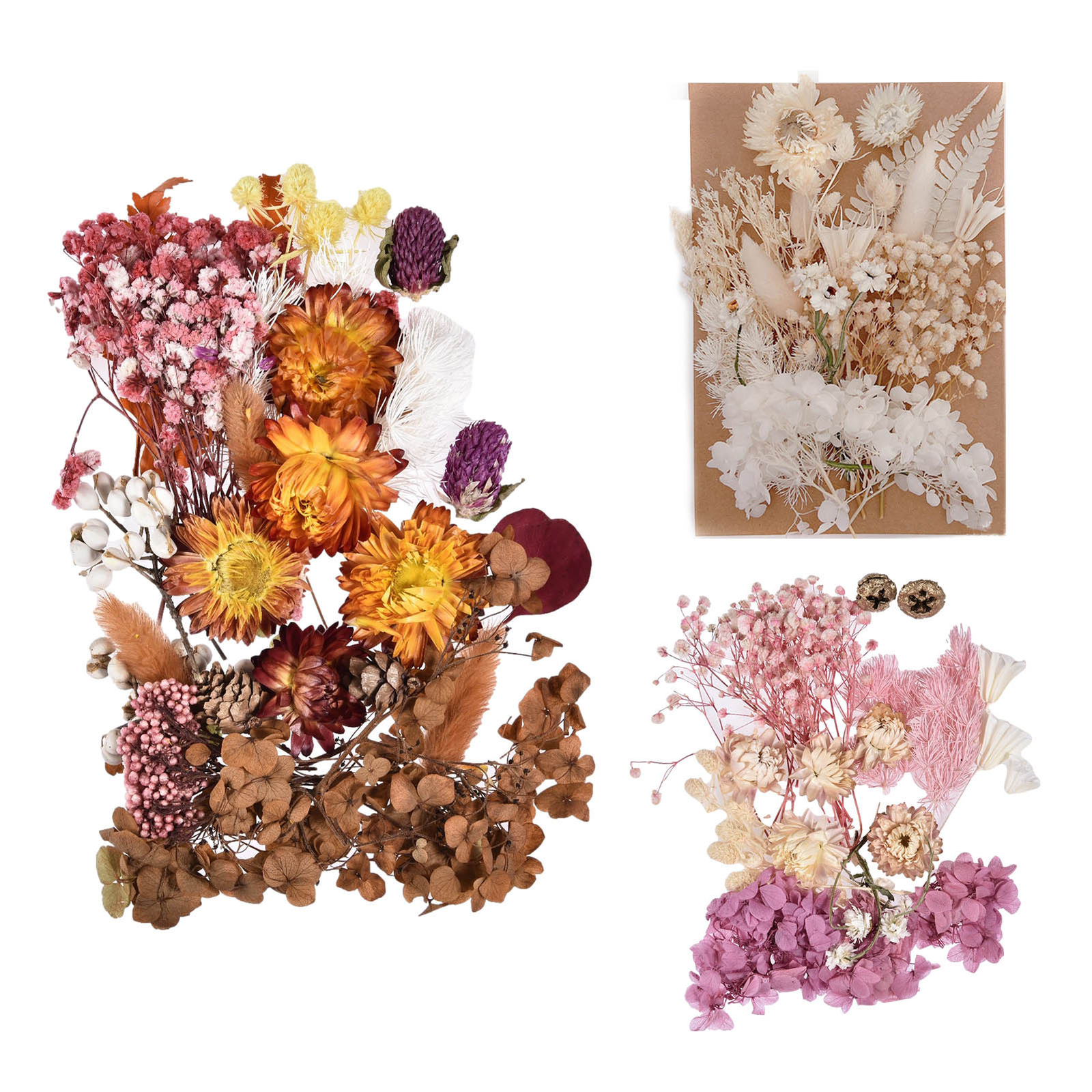 Dried Flowers for Resin Colorful Dried Flowers for Candle Making Resin Supplies-image