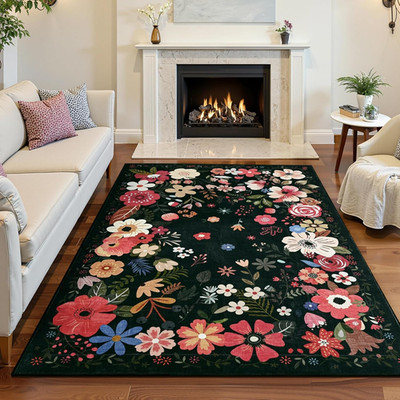 3X5 Rug for Bedroom,Washable Rugs for Living Room, Entryway, Indoor Floor Mat, S