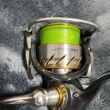 DAIWA 13 Certate 2508PE