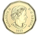 2022 Canada Loonie — photo from another recent sale