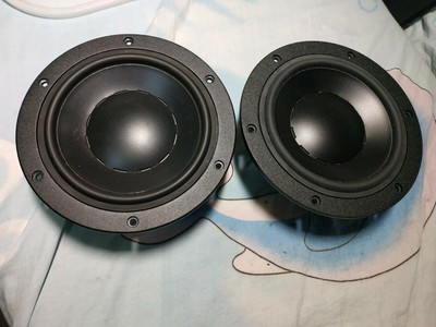 17w75 dynaudio