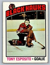 1976-77 Topps #100 Tony Esposito