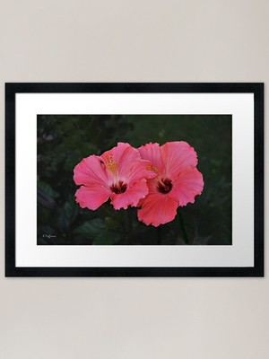 Floating Beauties Gerahmter Kunstdruck Gerahmtes Wandbild Poster Leinwanddruck Bild