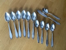 12 Oneida Community Plate Bridal Wreath Mixed Lot Silverplate Flatware