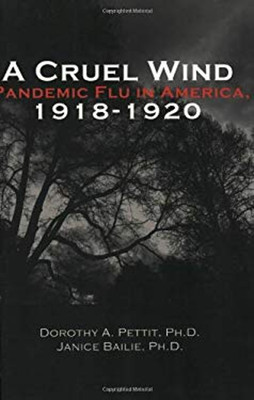 A Cruel Wind : Pandemic Flu in America 1918-1920 Paperback Doroth