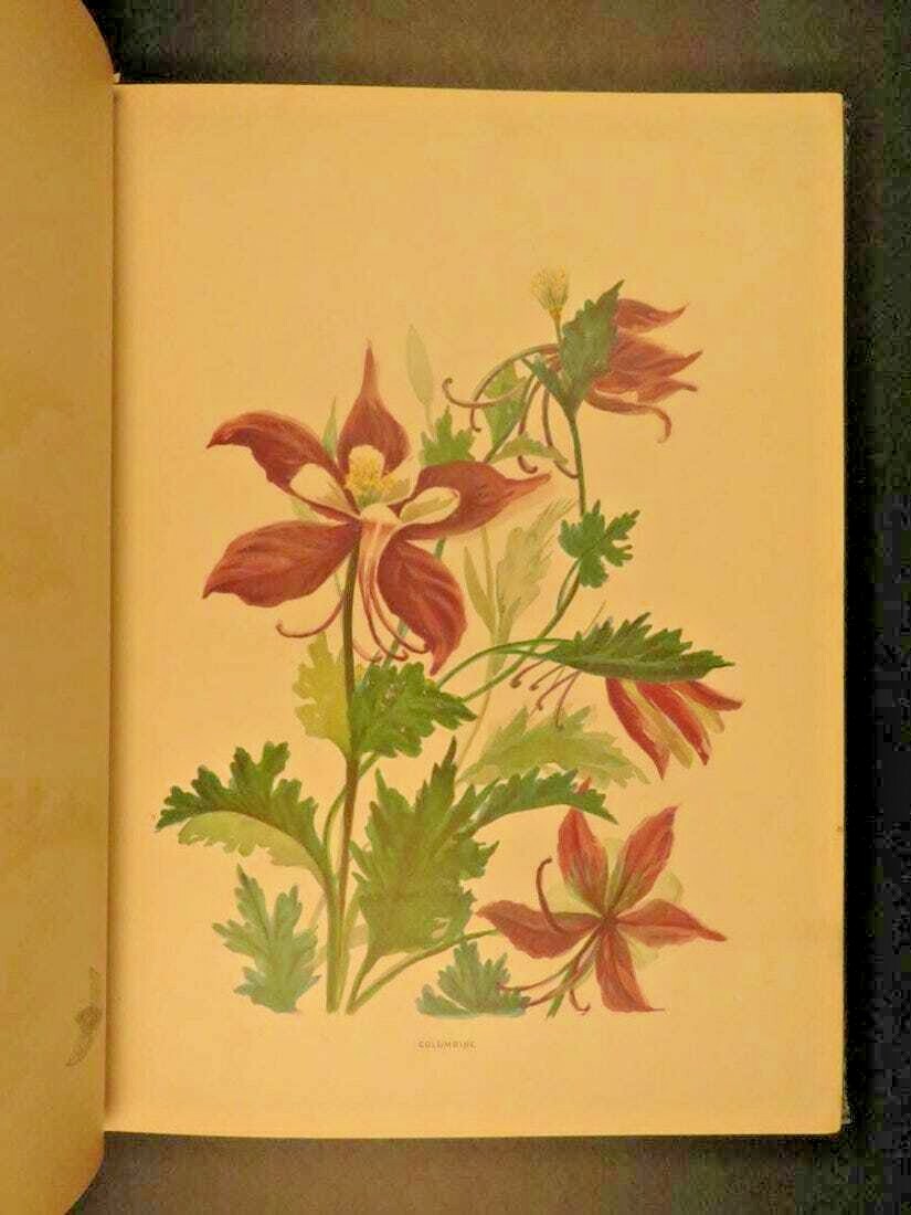 1885 First Edition Wild Flowers of Colorado Book by Emma Thayer