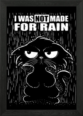 Grumpy Cat in Rain - I WAS NOT MADE Gerahmtes Wandbild Poster Leinwanddruck Bild