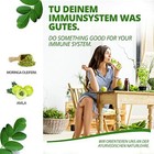 Bild 6 von 8