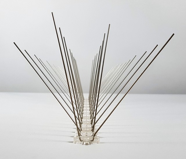 Taubenabwehr, Taubenspikes, 4-reihig auf 50 cm Polycarbonatleiste, made in EU