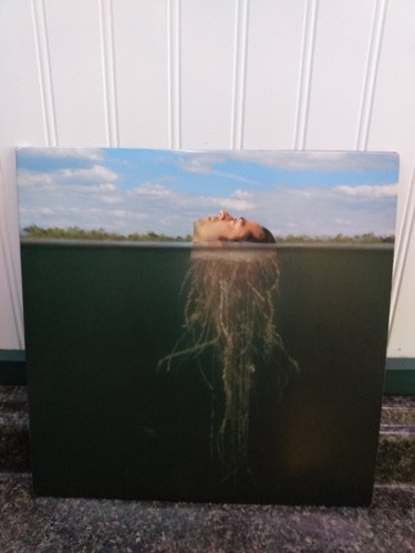 the mars volta de-loused in the comatorium- silver records - 第 2/15 張圖片