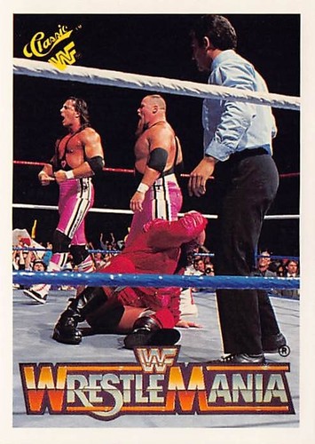 WWF 1990 Classic Wrestlemania Cards (Pick your Grappler) WWE (Opened 2/20/25)) - Picture 109 of 135