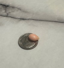 Conch Pearl. Beautiful Rare pinkish orange colored pearl with flame 2.18 carats