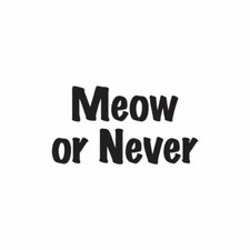 Meow Or Never - Vinyl Decal Sticker - Multiple Colors  Sizes - ebn4178