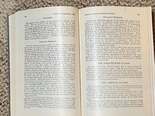 Keeping Livestock Healthy HC 1942 Government DC 1276 Pages Dept of Agriculture - Picture 14 of 21