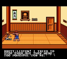 Double Dragon III 3 - Rare Fun NES Nintendo Game