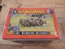 Warhammer Fantasy Orc Warrios Regiment
