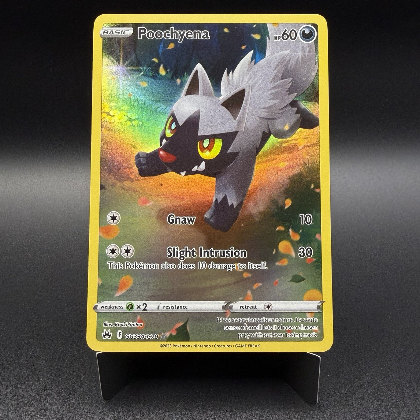 Pokemon TCG 2023 Crown Zenith Galarian Gallery Poochyena GG33/GG70 Holo ENG NM