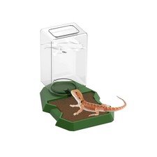 Reptile Water Dispenser with BottlePrevent Drowning Water DispenserReptile Wa...