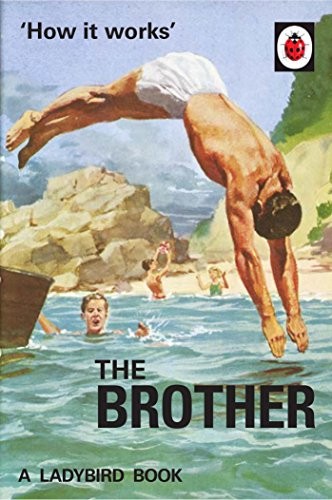 How it Works: The Brother (Ladybird for Grown-Ups),Jason Hazeley