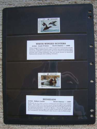 DUCK STAMP COLLECTION STATE & FORGEIN 50 TOTAL STAMPS SEE PHOTOS - Picture 20 of 24