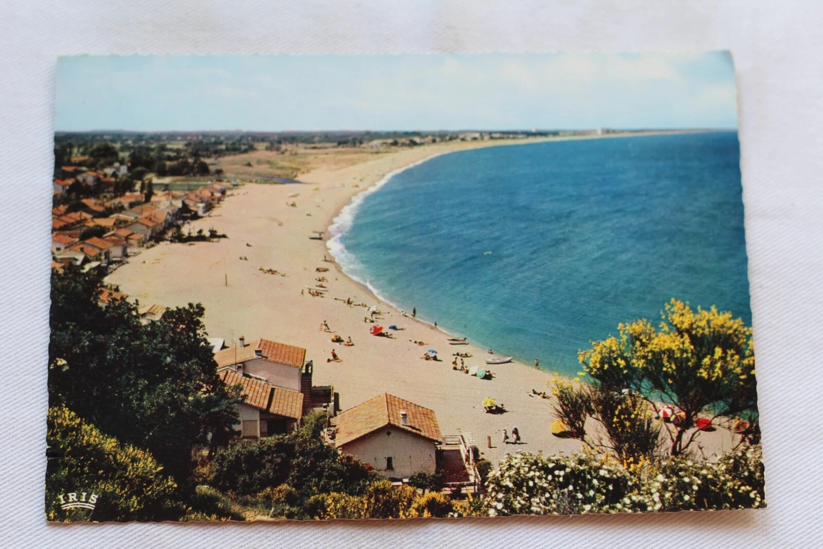 Carte Postale Ancienne – Perpignan, Type De Catalanes (début 1900, Dos Non Divisé)
