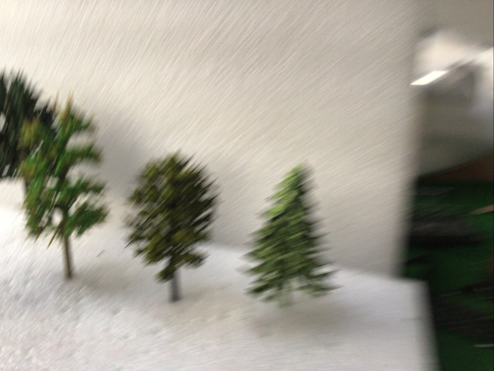 Picture 3 of 9