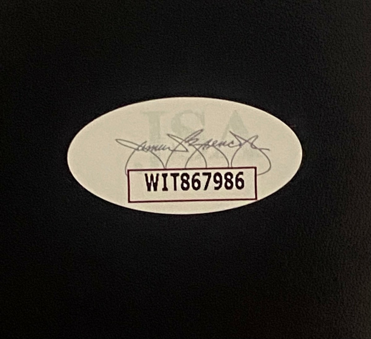 Chazz Palminteri Signed 11x14 Photo A Bronx Tale JSA | eBay