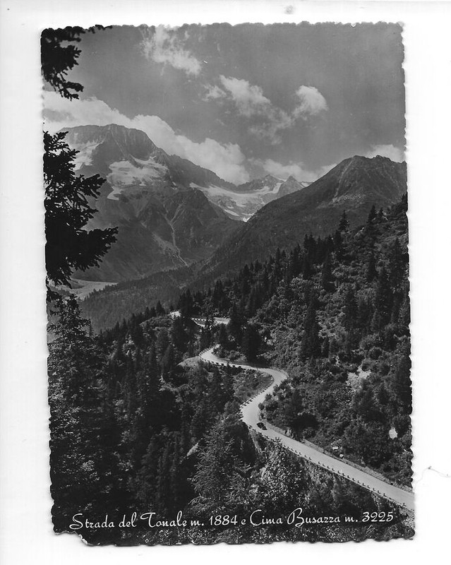VTG B/W POSTCARD STRADE DEL TONALE  -  CIMA BUSAZZA   ITALY