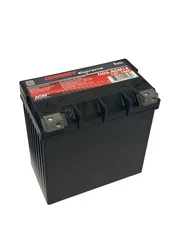 Odyssey Powersport Extreme AGM Battery ODP-AGM14