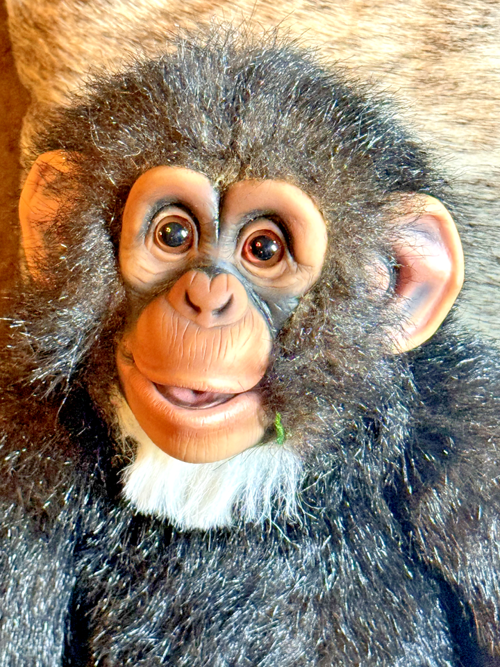 Steve Axtell Chimpanzee VENTRILOQUIST hand puppet monkey life like