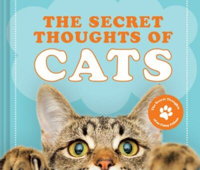Secret Thoughts of Cats, Hardcover by Rose, C. J., Brand New, Free shipping i...