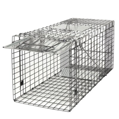 32'' Large Live Animal Trap Folding Squirrel Raccon Live Rodent Control Rat Cage
