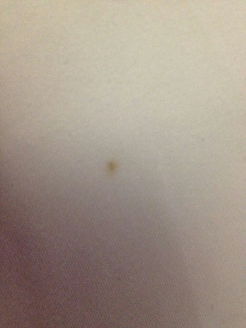 Picture 3 of 6