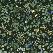 Fiula Self Adhesive Wallpaper Floral Leaf Peel and Stick 44CMx3M, Black 