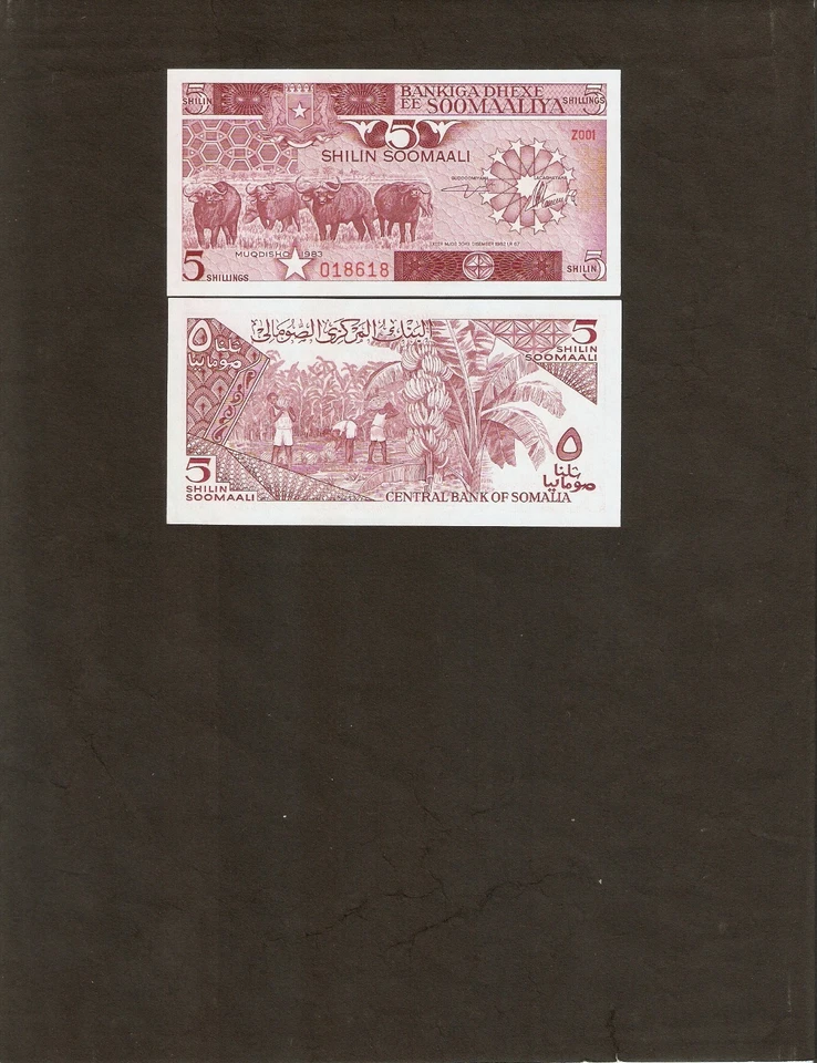 SOMALIA 5 SHILIN P31 A 1983 *REPLACEMENT OX BANANA HORSE UNC CURRENCY MONEY NOTE - Image 2 of 2